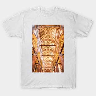 Inside the Basilica di Santa Anastasia, Verona T-Shirt